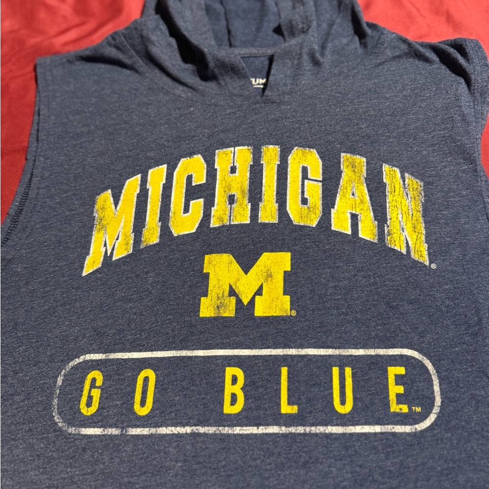 Gray Michigan Sleeveless Hoodie - Picture 2 of 3